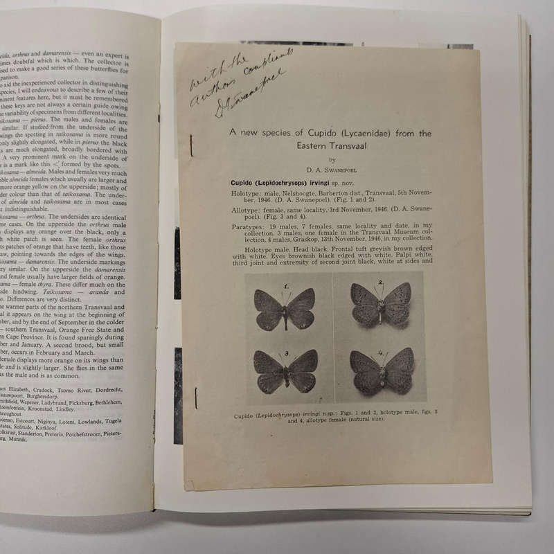 Butterflies of South Africa. Where, When and How they fly (D. A. Swanepoel)