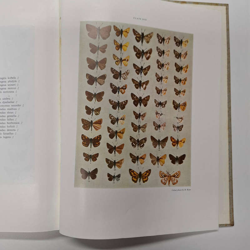Butterflies of South Africa. Where, When and How they fly (D. A. Swanepoel)