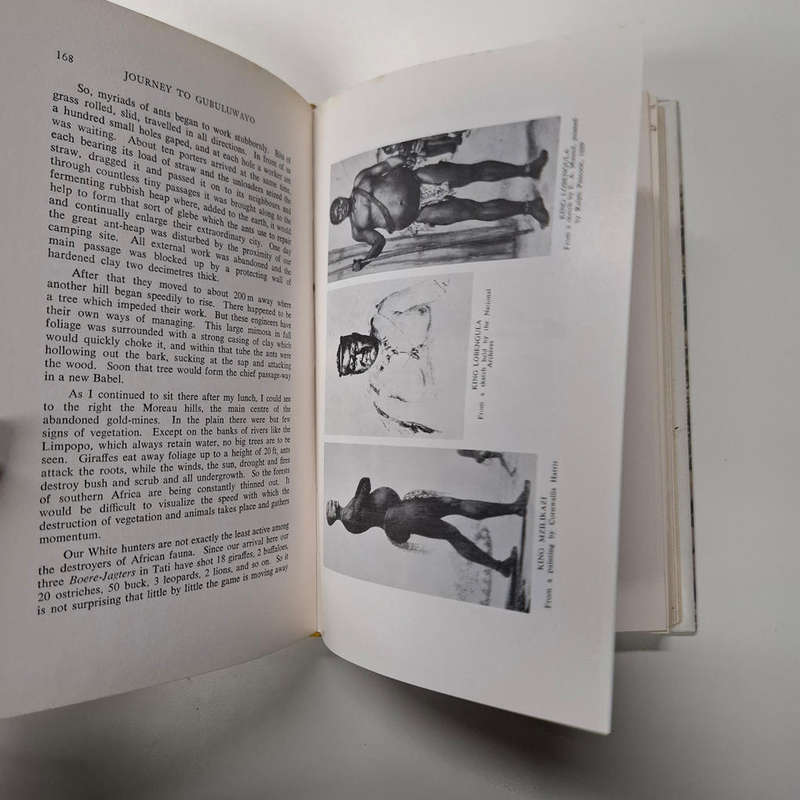 Journey to Gubuluwayo: Letters of Frs H. Depelchin and C. Croonenberghs, S.J. 1879, 1880, 1881 (Rhod