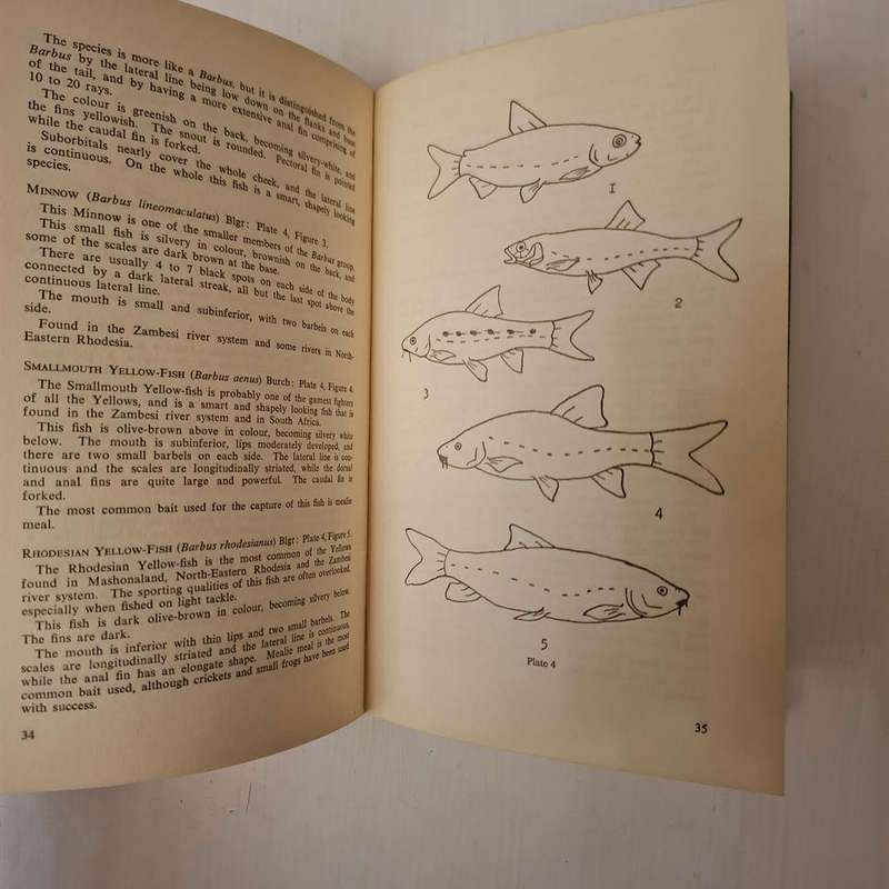 Angling In Southern Africa (Allan B.W. Impey)