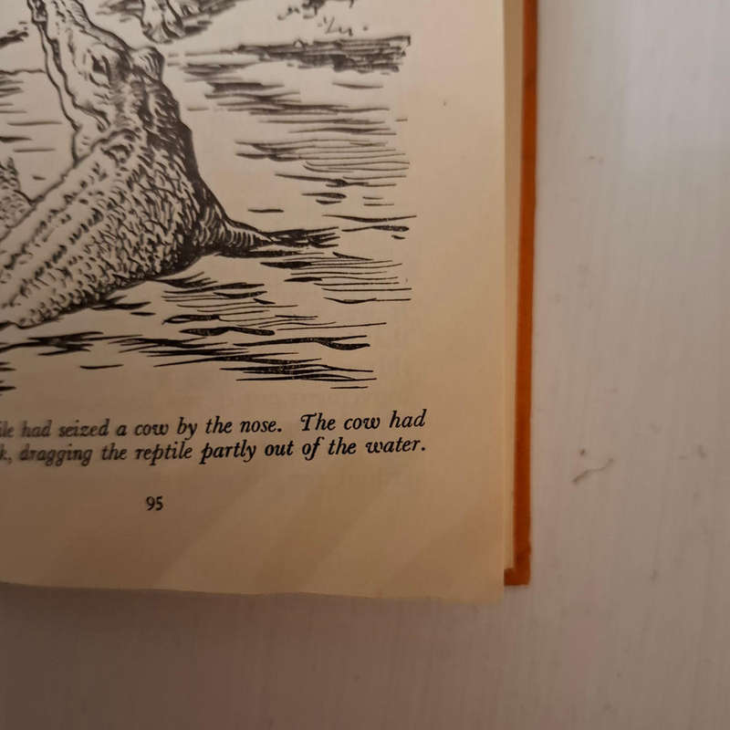 Hunting Big Game by John Alfred Jordan (1956)