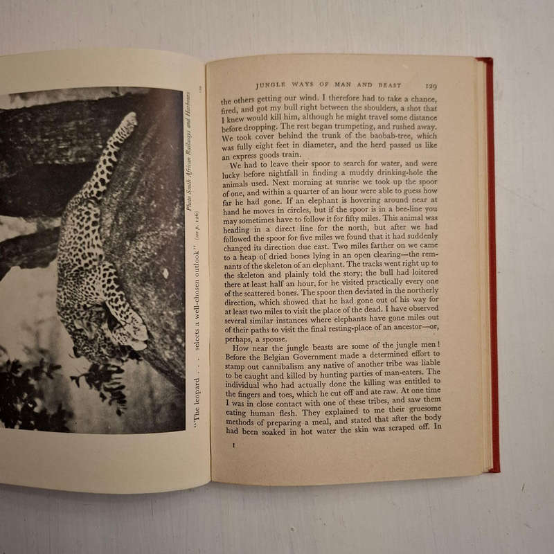 Jungle Man: The Autobiography of Major P.J. Pretorius C.M.G. D.S.O. and Bar