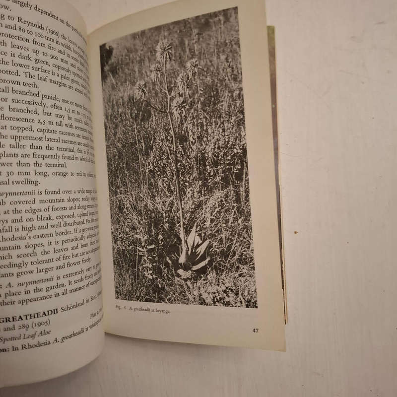 A Field Guide to the Aloes of Rhodesia (Oliver West)