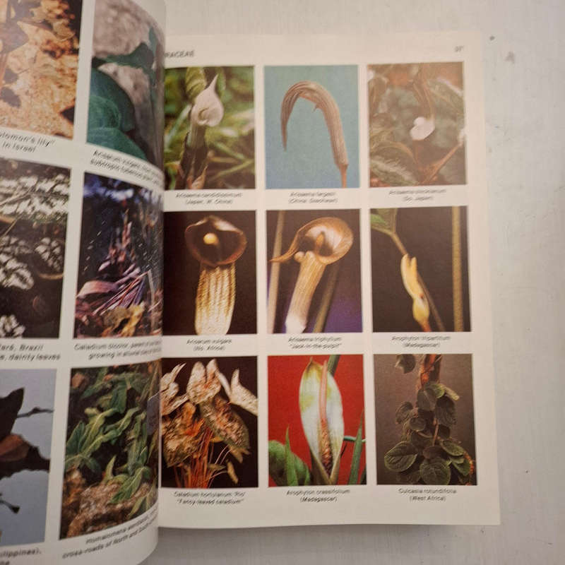 Tropica: Color Cyclopedia of Exotic Plants and Trees from the Tropics and Subtropics for Warm Region