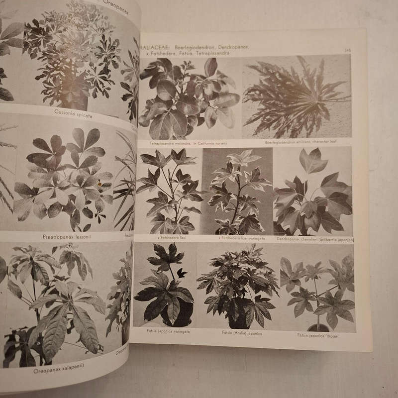 Exotica, Series 3: Pictorial Cyclopedia of Exotic Plants from Tropical and Near-tropic Regions