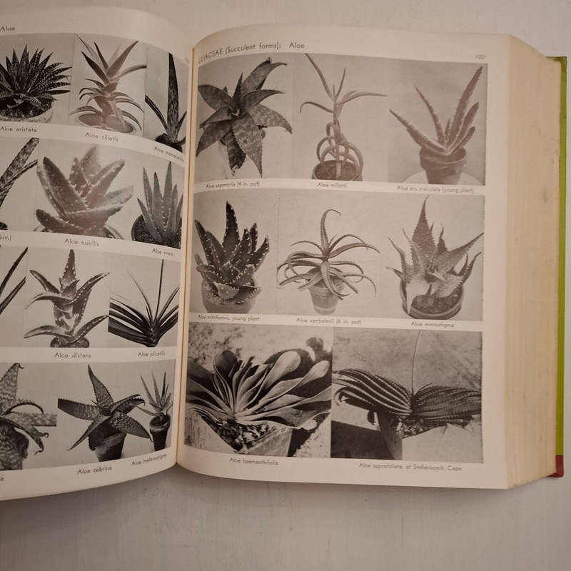 Exotica, Series 3: Pictorial Cyclopedia of Exotic Plants from Tropical and Near-tropic Regions