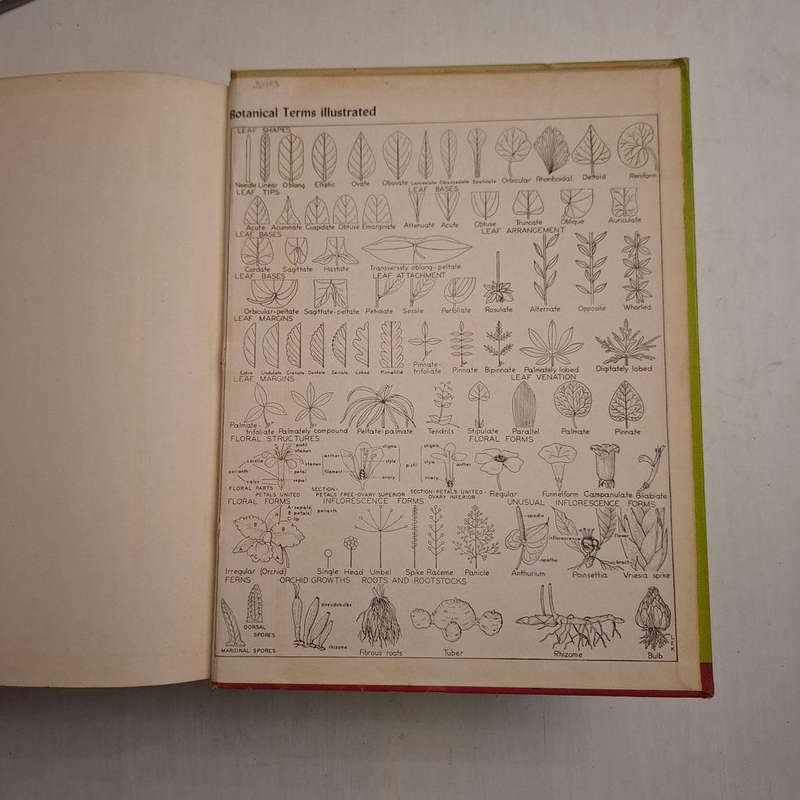 Exotica, Series 3: Pictorial Cyclopedia of Exotic Plants from Tropical and Near-tropic Regions