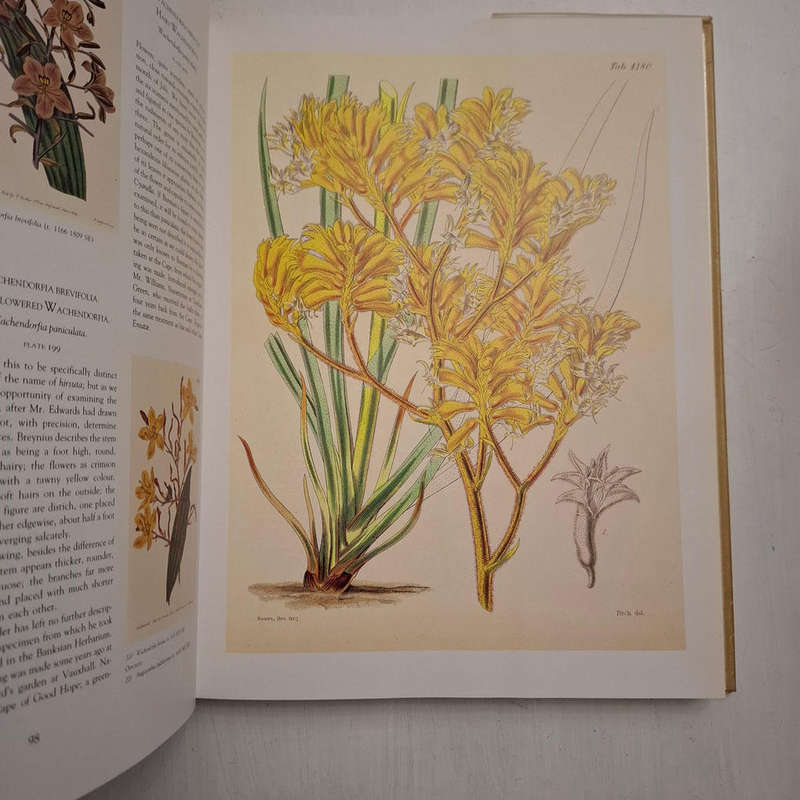 Art in Nature - Martyn Rix (Introduction)