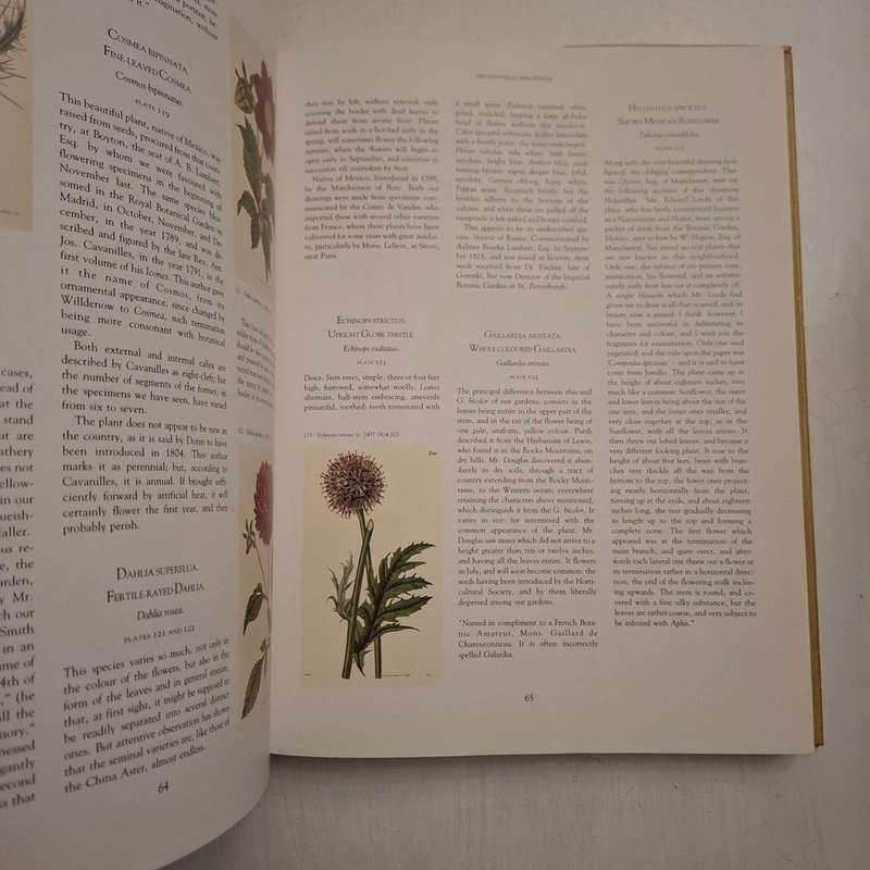 Art in Nature - Martyn Rix (Introduction)