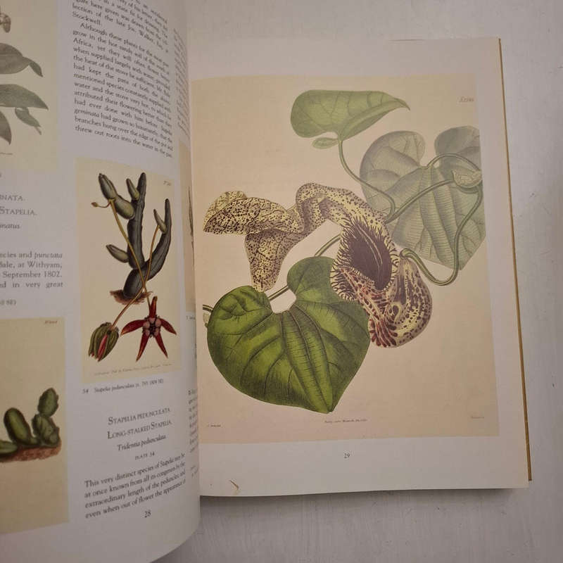 Art in Nature - Martyn Rix (Introduction)