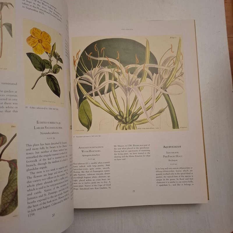 Art in Nature - Martyn Rix (Introduction)