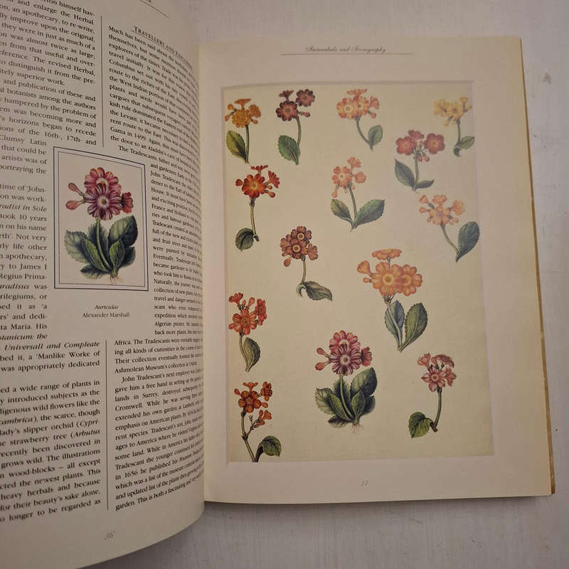 The Art of Botanical Illustration: The Classic Illustrators and Their Achievements from 1550 to 1900