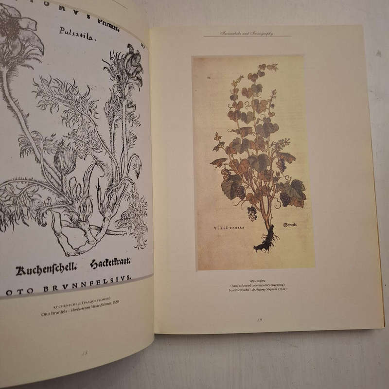 The Art of Botanical Illustration: The Classic Illustrators and Their Achievements from 1550 to 1900