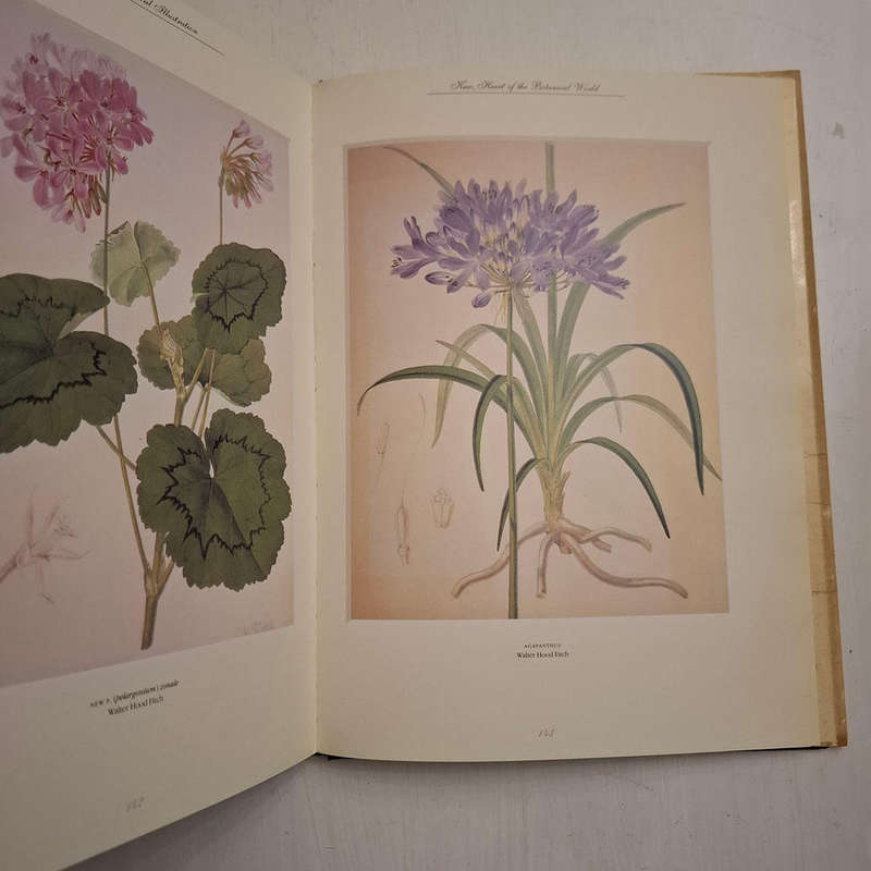 The Art of Botanical Illustration: The Classic Illustrators and Their Achievements from 1550 to 1900