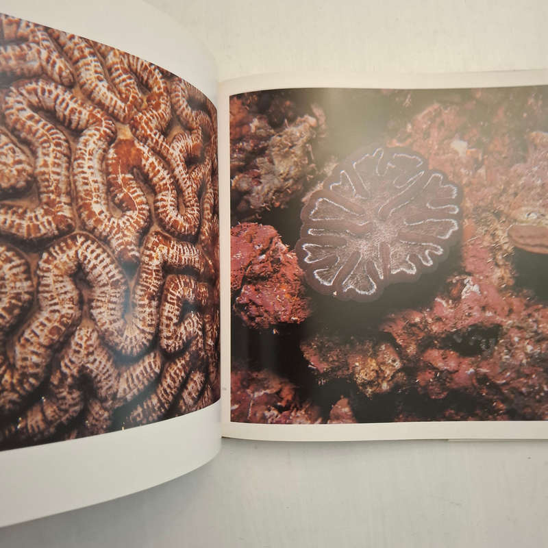Living Corals (Faulkner, Douglas, Chesher, Richard H.)