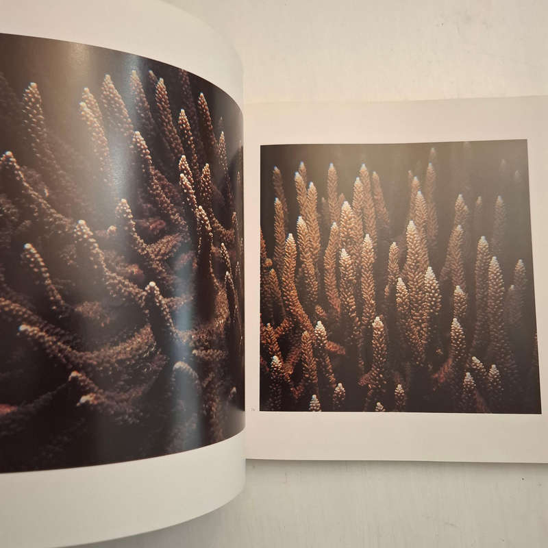 Living Corals (Faulkner, Douglas, Chesher, Richard H.)