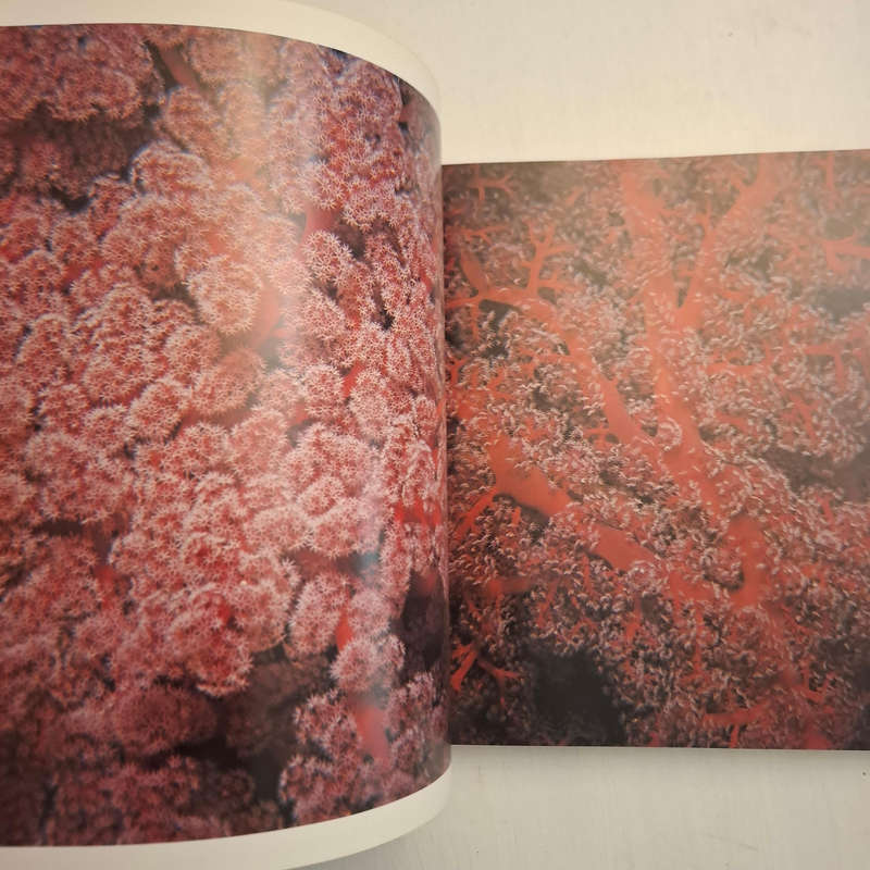 Living Corals (Faulkner, Douglas, Chesher, Richard H.)