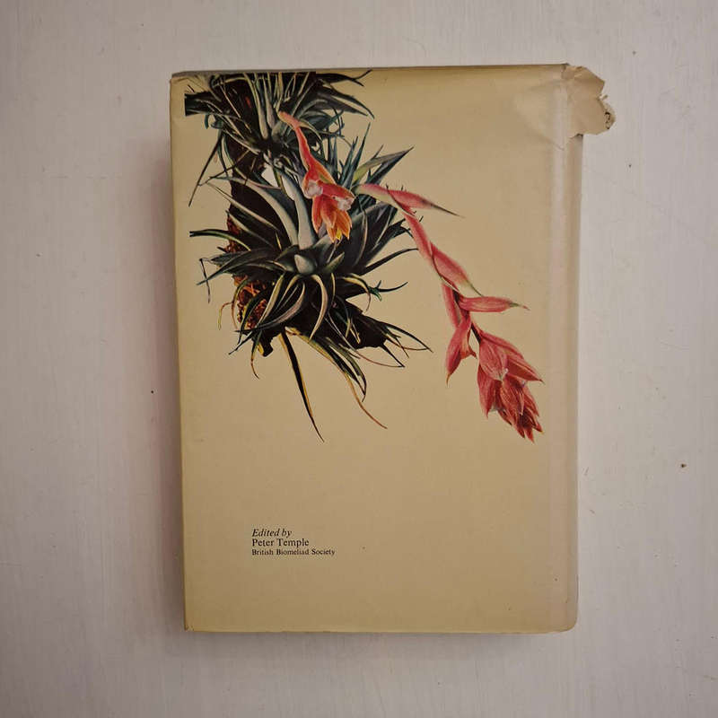 Bromeliads For Home, Garden and Greenhouse (Werner Rauh)
