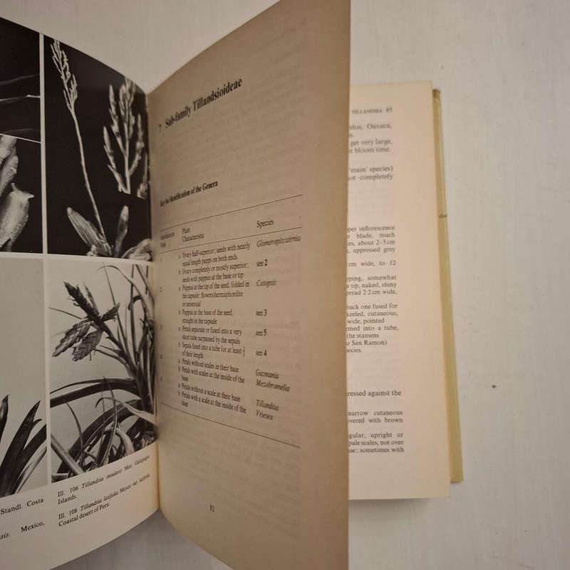 Bromeliads For Home, Garden and Greenhouse (Werner Rauh)