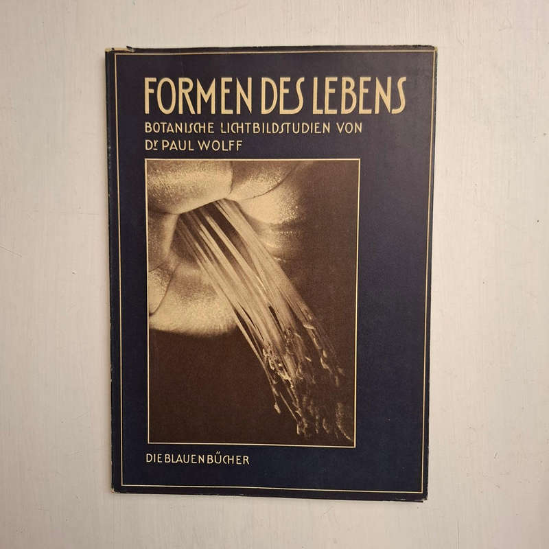 Formen des Lebens. Botanische Lichtbildstudien (Dr. Paul Wolff)
