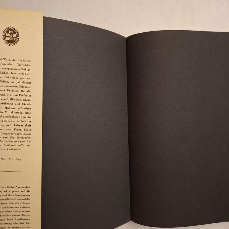 Formen des Lebens. Botanische Lichtbildstudien (Dr. Paul Wolff)