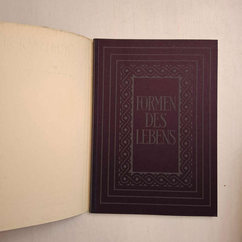 Formen des Lebens. Botanische Lichtbildstudien (Dr. Paul Wolff)
