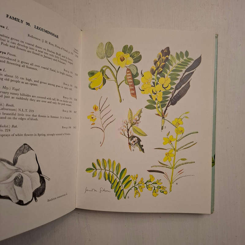 Wild Flowers of Natal (Coastal Region) Janet M. Gibson