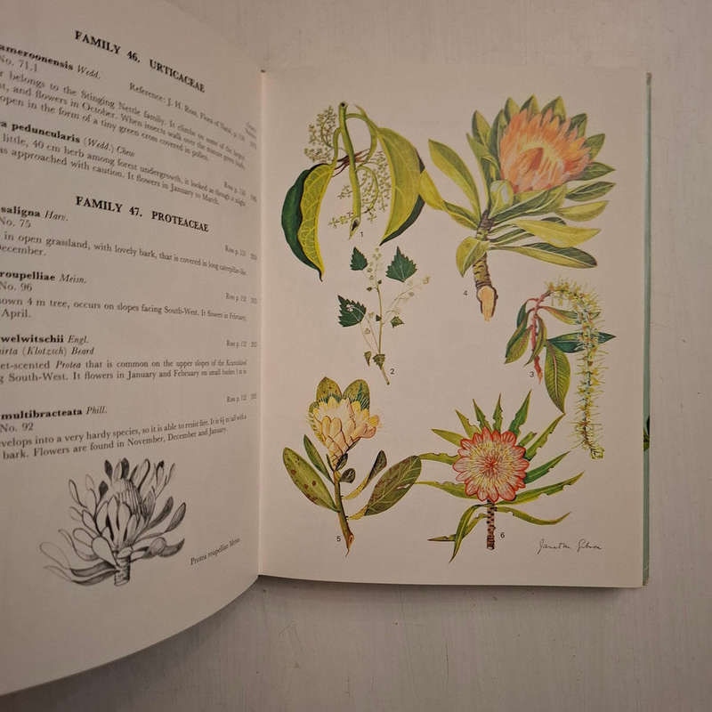 Wild Flowers of Natal (Coastal Region) Janet M. Gibson