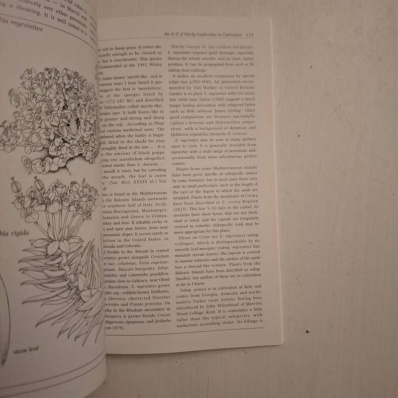 Euphorbias: A Gardeners' Guide (Roger Turner)