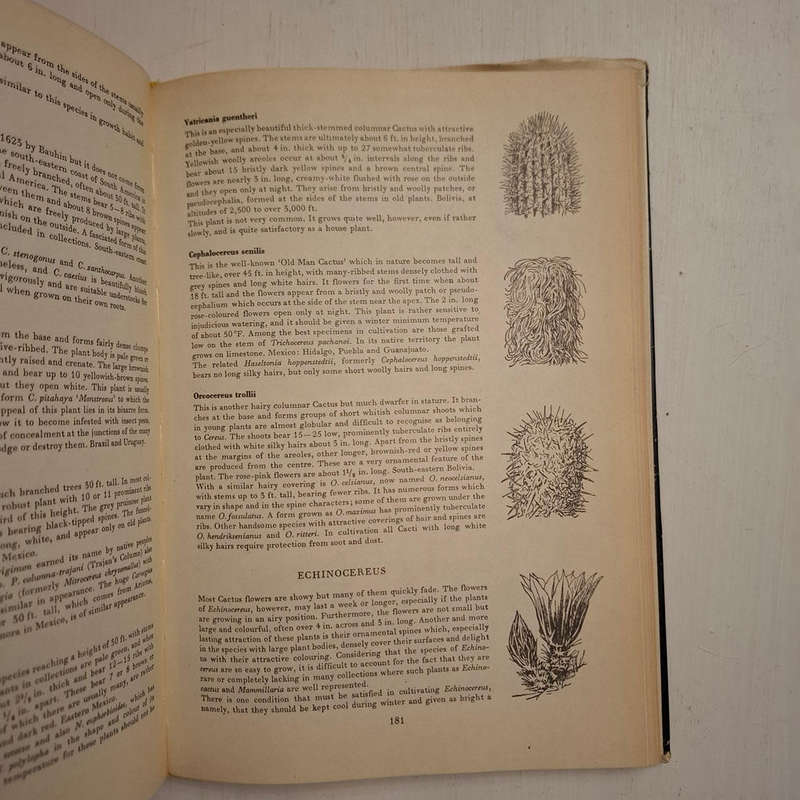 Cacti and Succulents. A Practical Handbook (Walther Haage)