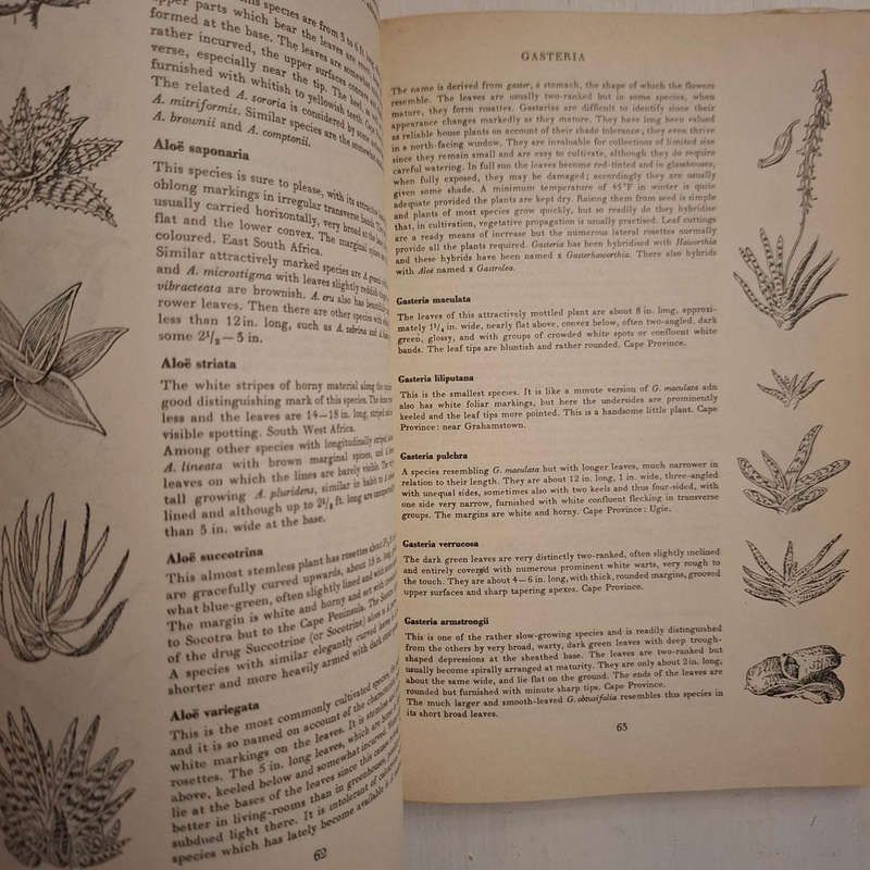 Cacti and Succulents. A Practical Handbook (Walther Haage)