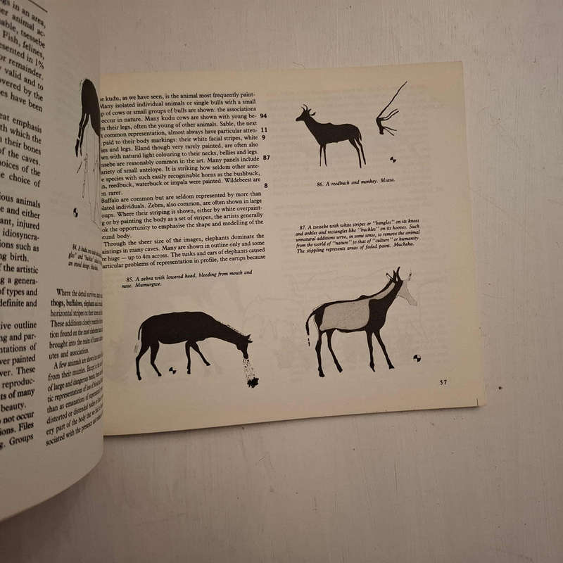 The Painted Caves: An Introduction to the Prehistoric Art of Zimbabwe (Peter Garlake)