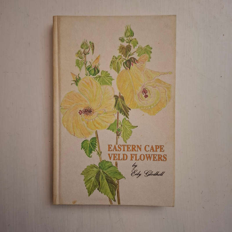 Eastern Cape Veld Flowers (Eily Gledhill)