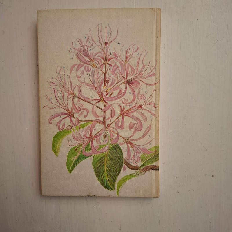 Eastern Cape Veld Flowers (Eily Gledhill)