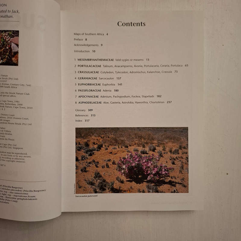 Succulent Flora of Southern Africa (Doreen Court)