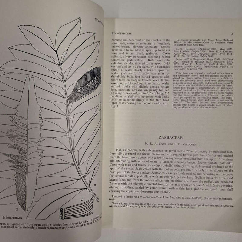 Flora of Southern Africa which deals with the territories of the Republic of South Africa, Basutolan