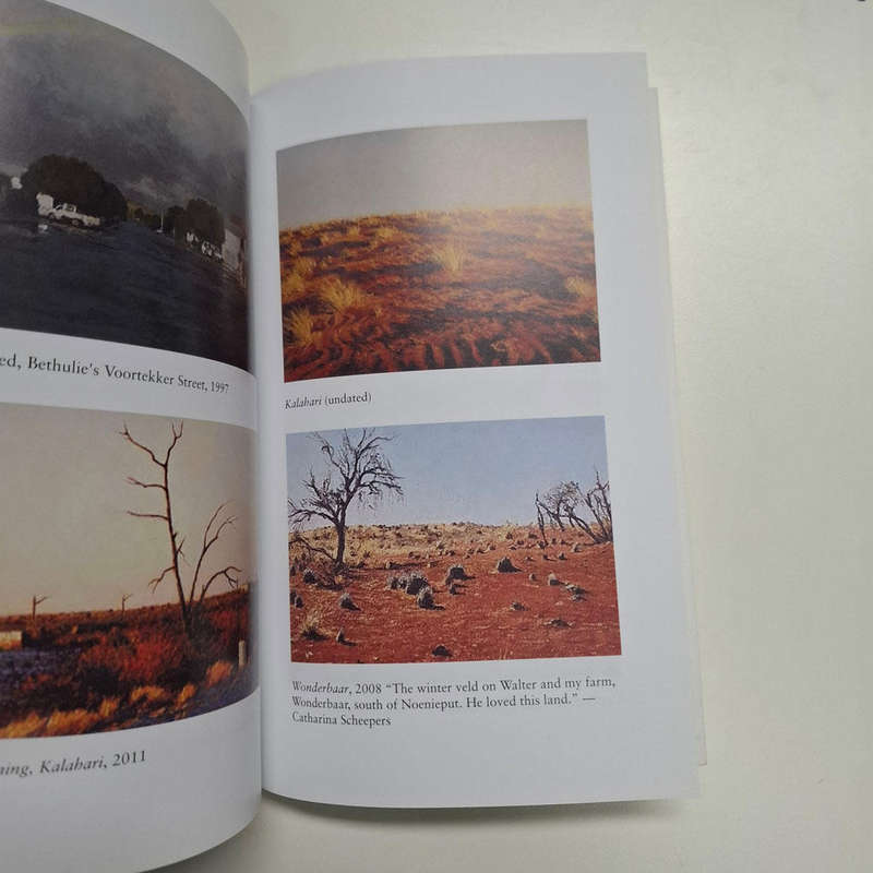 Impossible Skies: life with my brother, the artist Walter Meyer (Frans Meyer)
