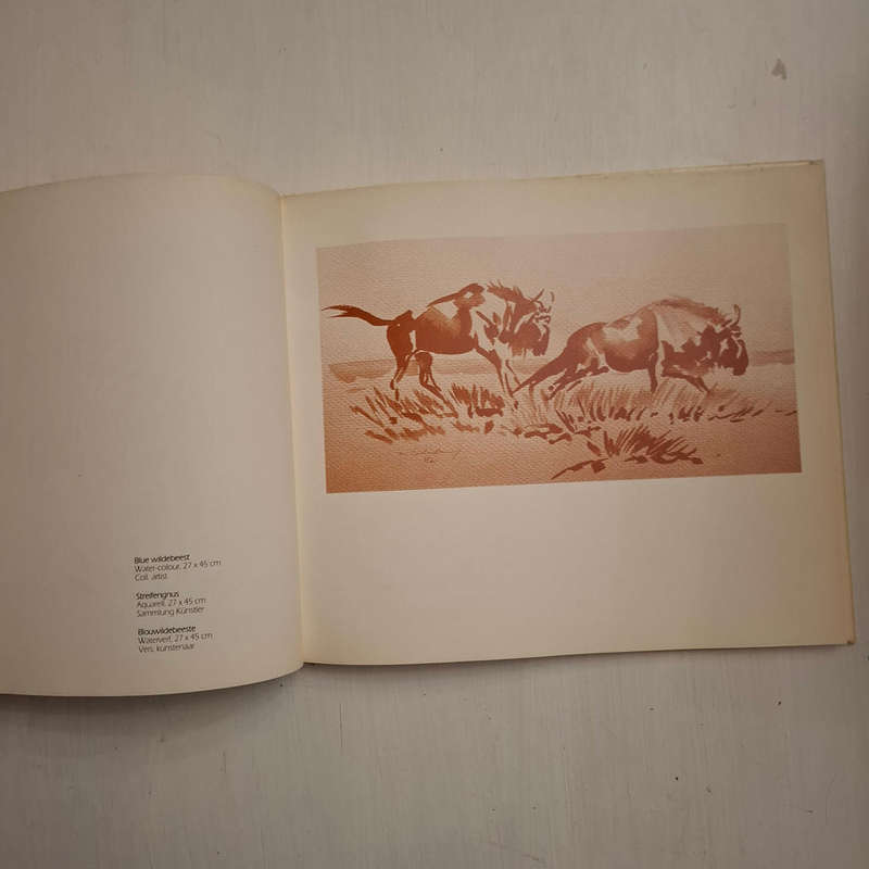Animal Art of Etosha / Tierkunst von Etoscha / Dierekuns van Etosha