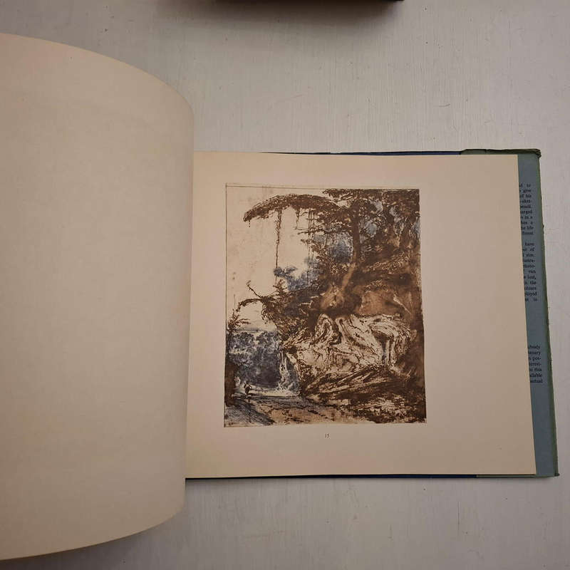 Knysna Forest Scenery. Sketches by W. D. De Vignon van Alphen