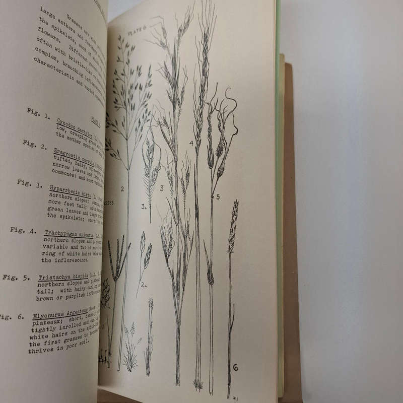 Flora of Melville Koppies Nature Reserve - 2 vols