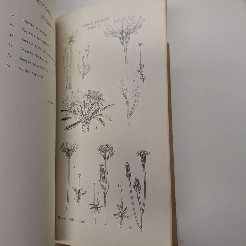 Flora of Melville Koppies Nature Reserve - 2 vols
