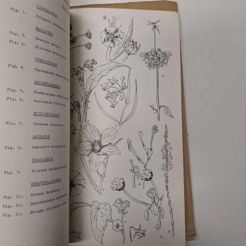 Flora of Melville Koppies Nature Reserve - 2 vols