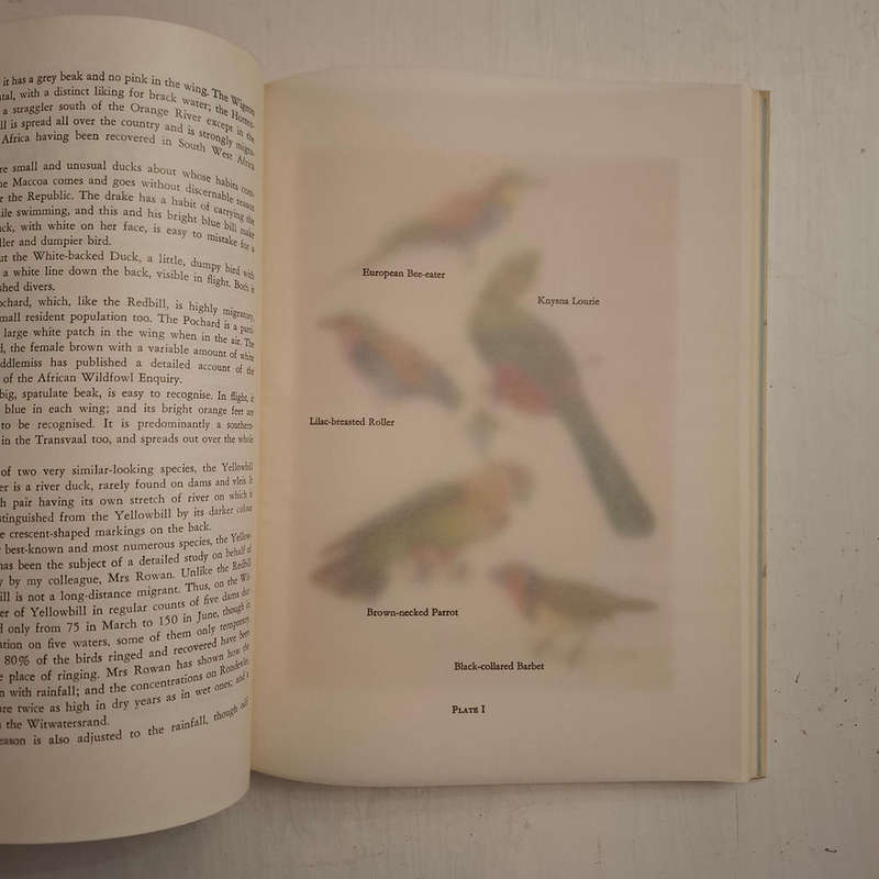 The Farmer's Birds (J.M. Winterbottom)