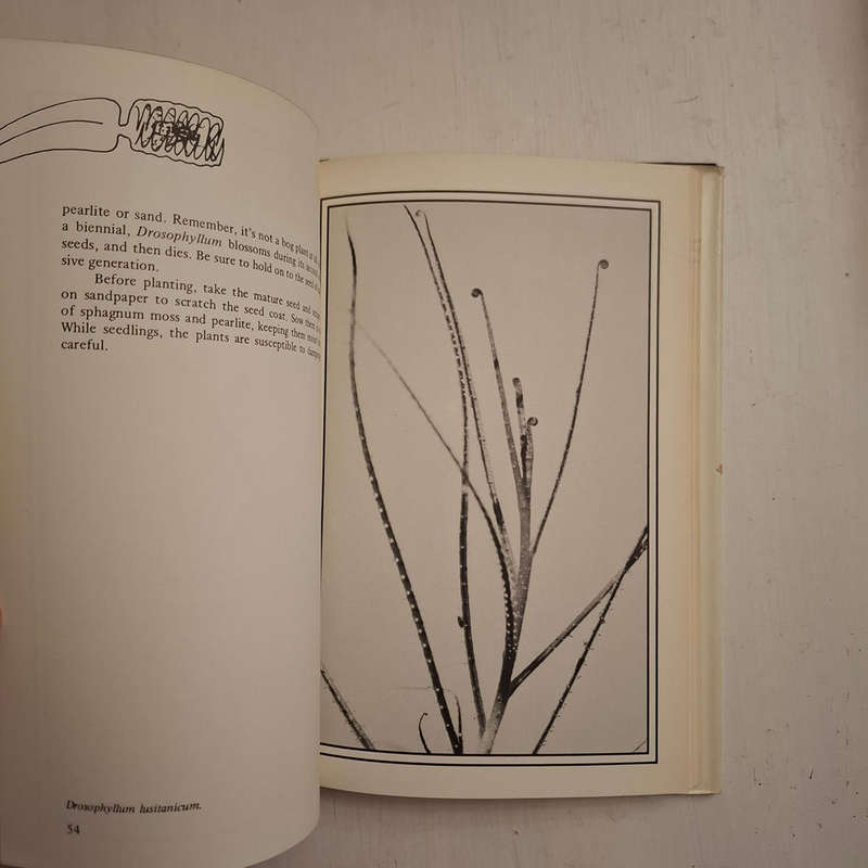 Carnivorous Plants (Randall Schwartz)