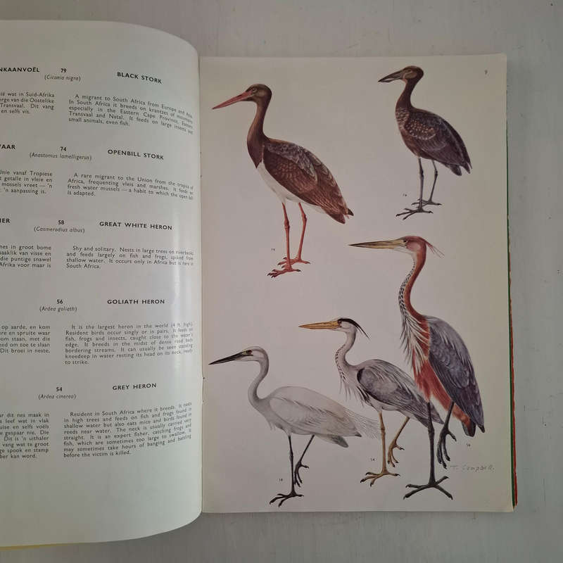 Voels van die Krugerwildtuin en ander Nasionale Parke/Birds of the Kruger and other National Parks (