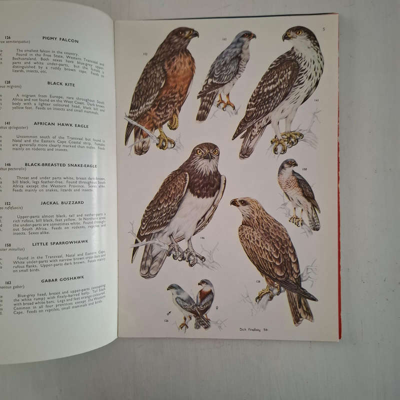 Voels van die Krugerwildtuin en ander Nasionale Parke/Birds of the Kruger and other National Parks (