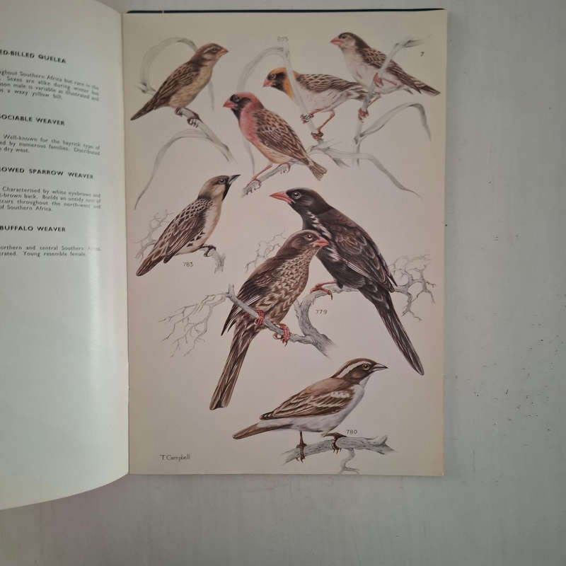 Voels van die Krugerwildtuin en ander Nasionale Parke/Birds of the Kruger and other National Parks (