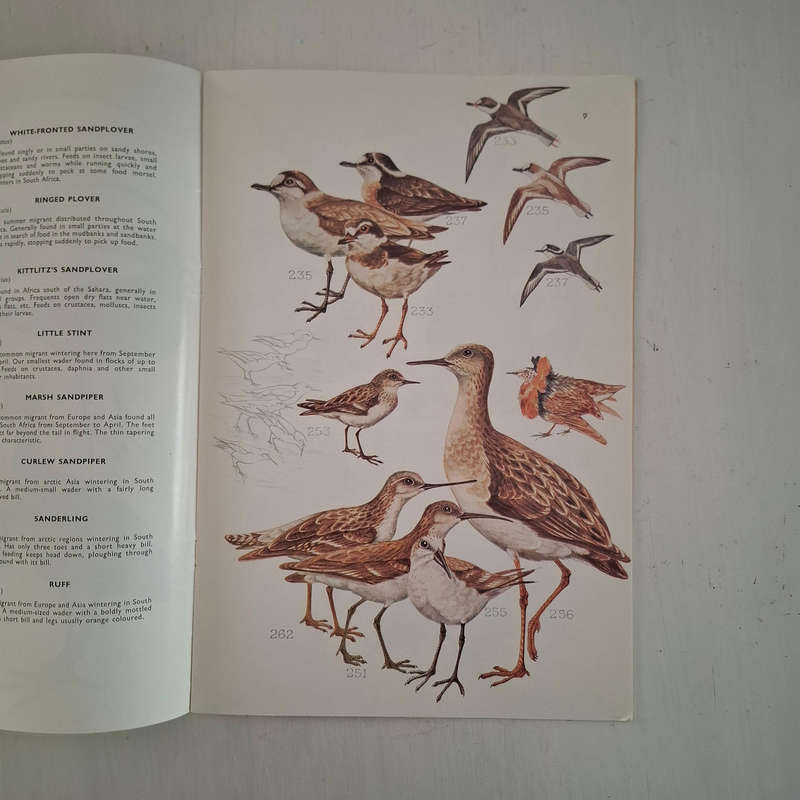 Voels van die Krugerwildtuin en ander Nasionale Parke/Birds of the Kruger and other National Parks (