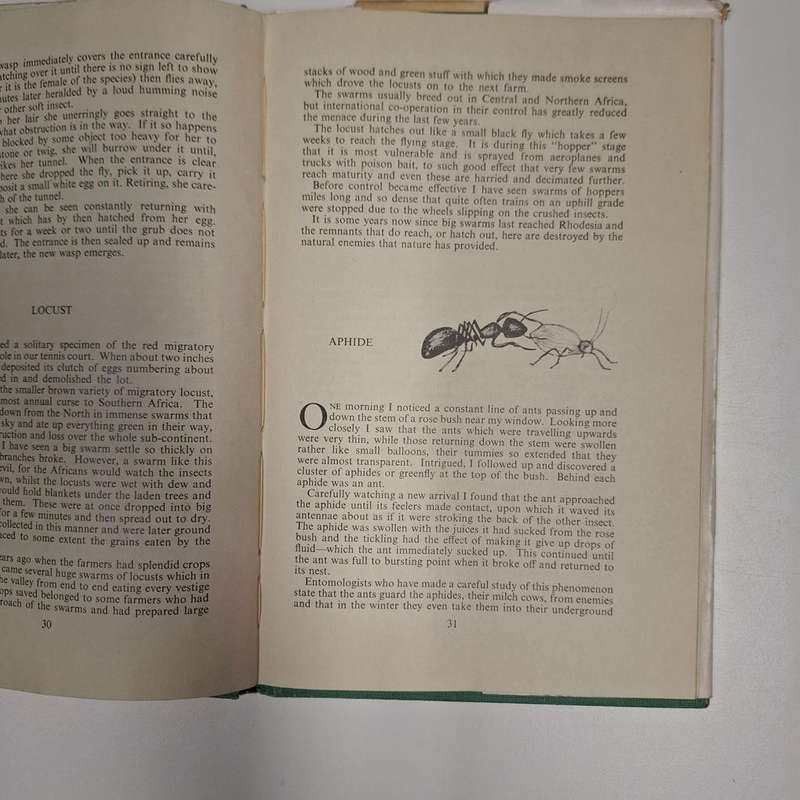 Bundu Briefs (Plewman De Kock) Signed