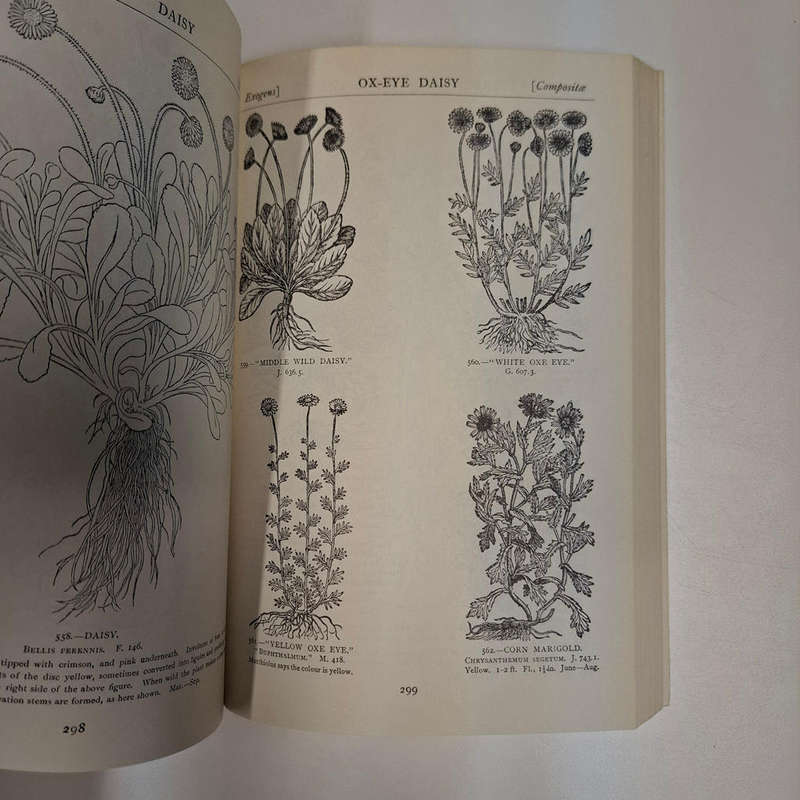 Handbook of Plant and Floral Ornament (R. G. Hatton)